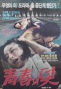 청춘의 덫 (1978년 드라마)