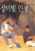 장미빛 인생 (1991년 드라마)